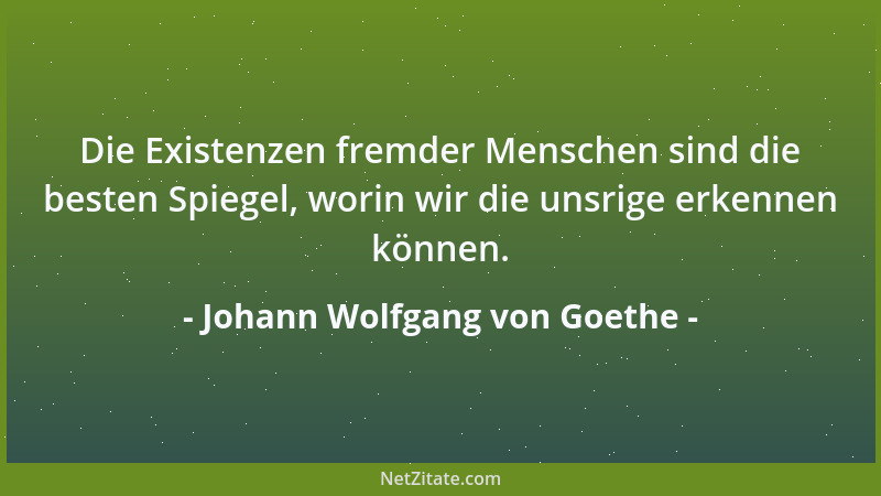 Johann Wolfgang von Goethe - Die Existenzen fremder Menschen sind die besten Spiegel, worin wir die unsrige erkennen können...