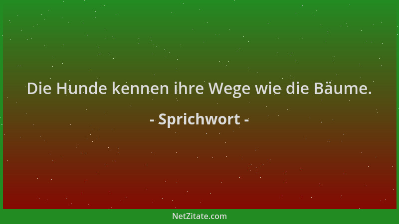 Sprichwort - Die Hunde kennen ihre Wege wie die Bäume....