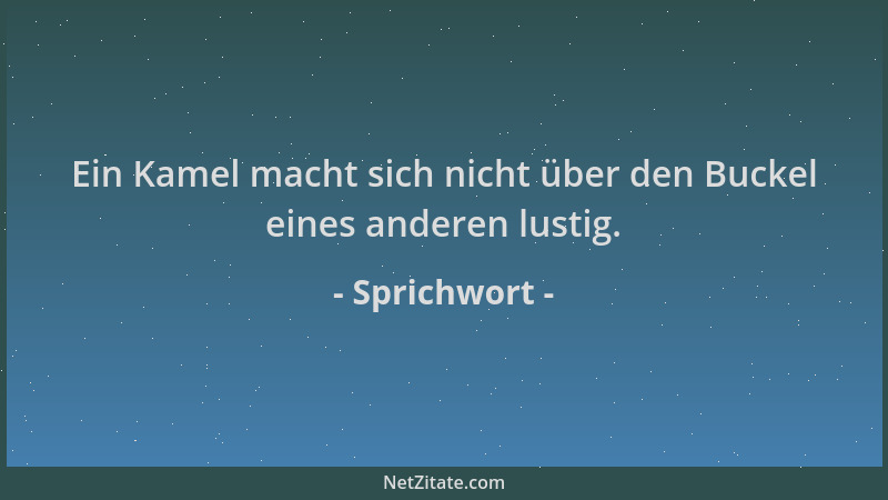 Sprichwort - Ein Kamel macht sich nicht über den Buckel eines anderen lustig....