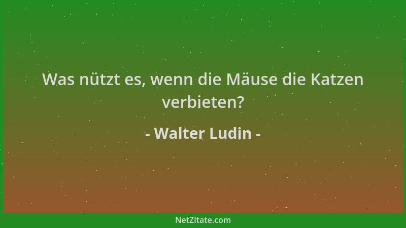Walter Ludin - Was nützt es, wenn die Mäuse die Katzen verbieten?...