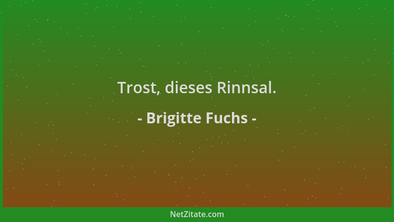 Brigitte Fuchs - Trost, dieses Rinnsal....