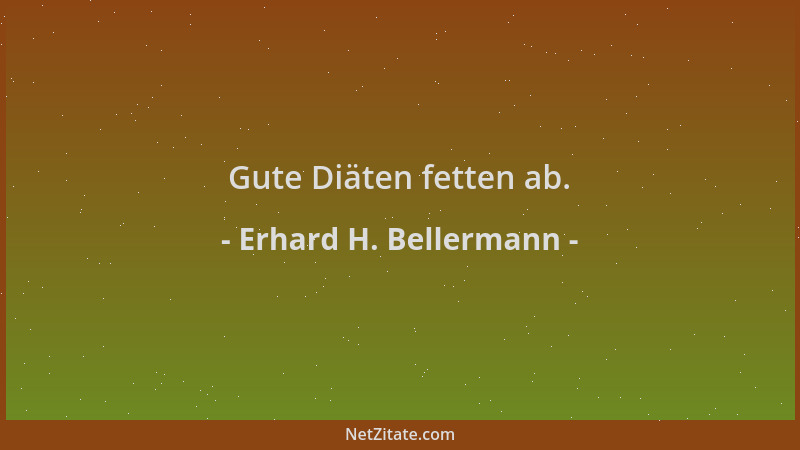 Erhard H. Bellermann - Gute Diäten fetten ab....
