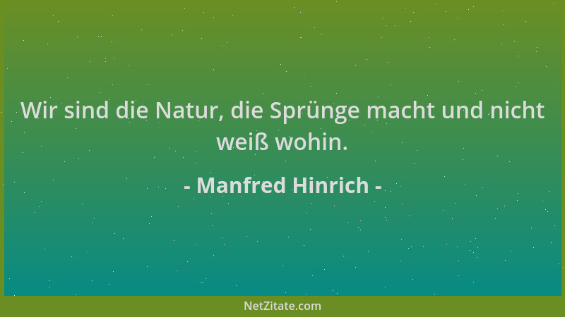 Manfred Hinrich - Wir sind die Natur, die Sprünge macht und nicht weiß wohin....