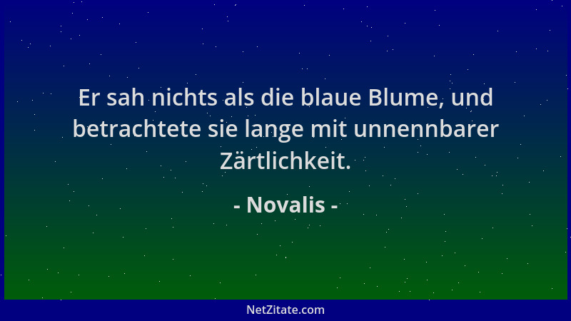 Novalis - Er sah nichts als die blaue Blume, und betrachtete sie lange mit unnennbarer Zärtlichkeit....
