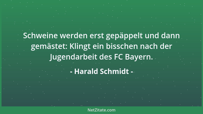 Harald Schmidt - Schweine werden erst gepäppelt und dann gemästet: Klingt ein bisschen nach der Jugendarbeit des FC Bayern....