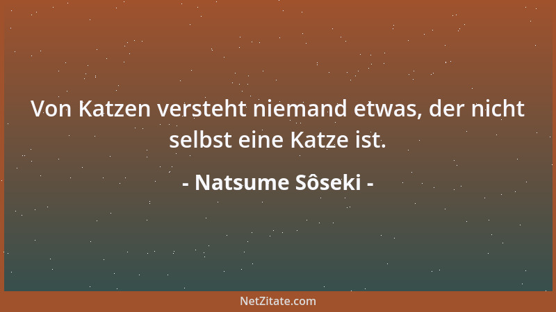 Natsume Sôseki - Von Katzen versteht niemand etwas, der nicht selbst eine Katze ist....