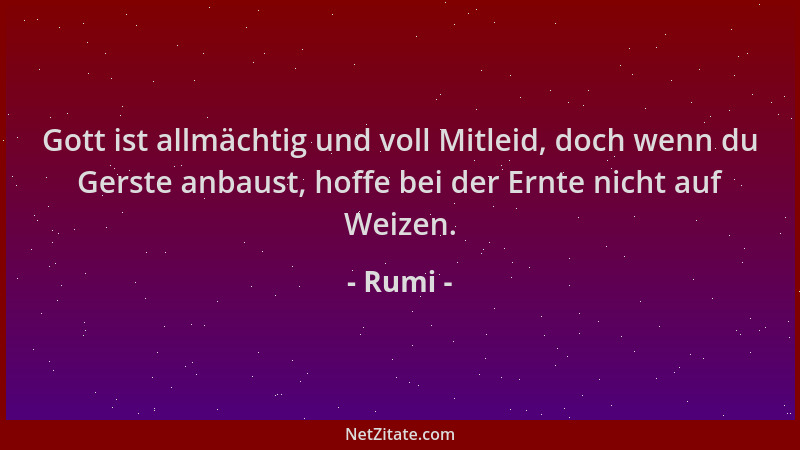 Rumi - Gott ist allmächtig und voll Mitleid, doch wenn du Gerste anbaust, hoffe bei der Ernte nicht auf Weizen....