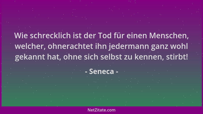 Seneca - Wie schrecklich ist der Tod für einen Menschen, welcher, ohnerachtet ihn jedermann ganz wohl gekannt hat, ohne sic...