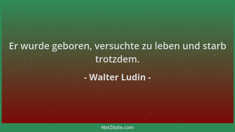 Walter Ludin - Er wurde geboren, versuchte zu leben und starb trotzdem....