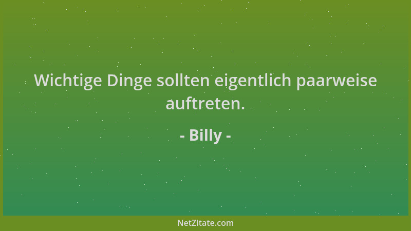 Billy - Wichtige Dinge sollten eigentlich paarweise auftreten....
