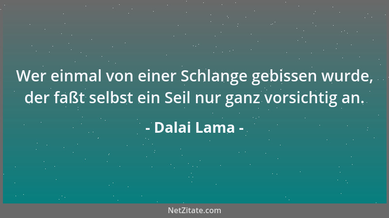 Dalai Lama - Wer einmal von einer Schlange gebissen wurde, der faßt selbst ein Seil nur ganz vorsichtig an....