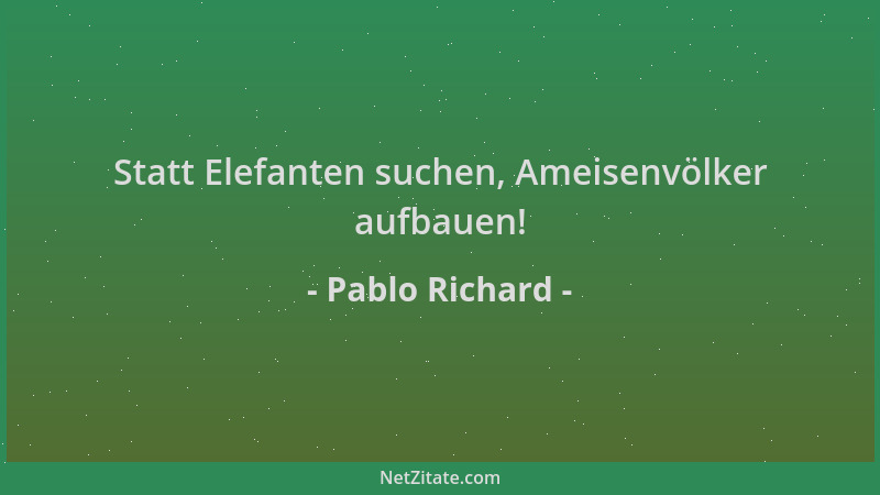 Pablo Richard - Statt Elefanten suchen, Ameisenvölker aufbauen!...