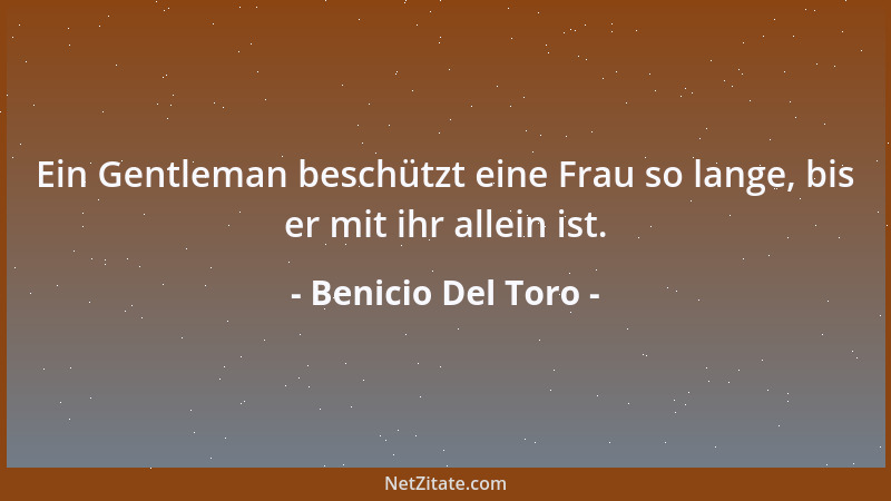 Benicio Del Toro - Ein Gentleman beschützt eine Frau so lange, bis er mit ihr allein ist....