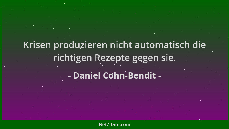 Daniel Cohn-Bendit - Krisen produzieren nicht automatisch die richtigen Rezepte gegen sie....