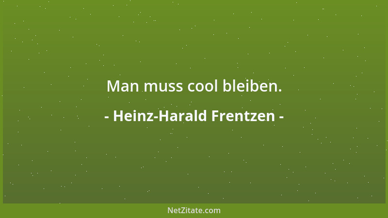 Heinz-Harald Frentzen - Man muss cool bleiben....