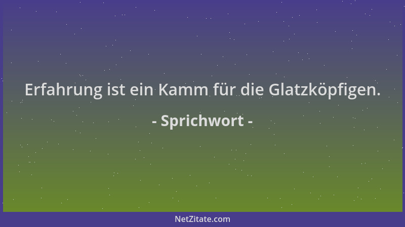 Sprichwort - Erfahrung ist ein Kamm für die Glatzköpfigen....