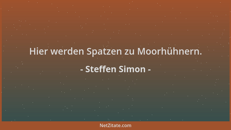 Steffen Simon - Hier werden Spatzen zu Moorhühnern....