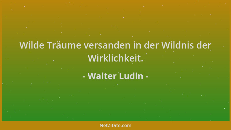 Walter Ludin - Wilde Träume versanden in der Wildnis der Wirklichkeit....