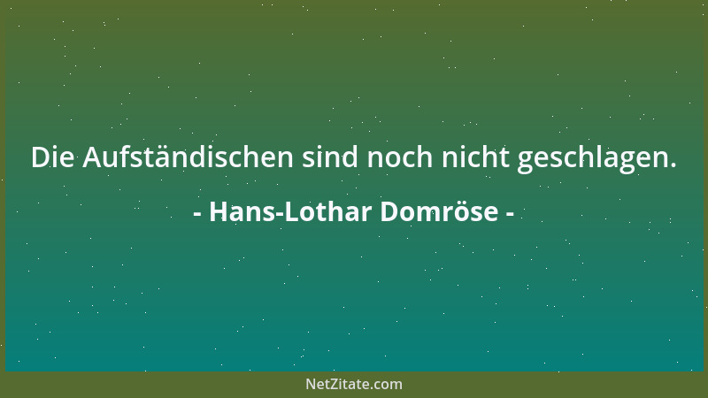 Hans-Lothar Domröse - Die Aufständischen sind noch nicht geschlagen....