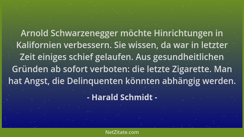 Harald Schmidt - Arnold Schwarzenegger möchte Hinrichtungen in Kalifornien verbessern. Sie wissen, da war in letzter Zeit e...