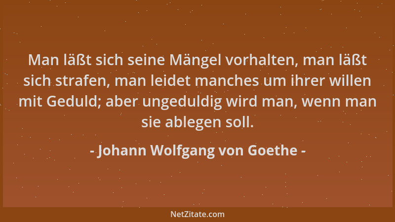 Johann Wolfgang von Goethe - Man läßt sich seine Mängel vorhalten, man läßt sich strafen, man leidet manches um ihrer wille...