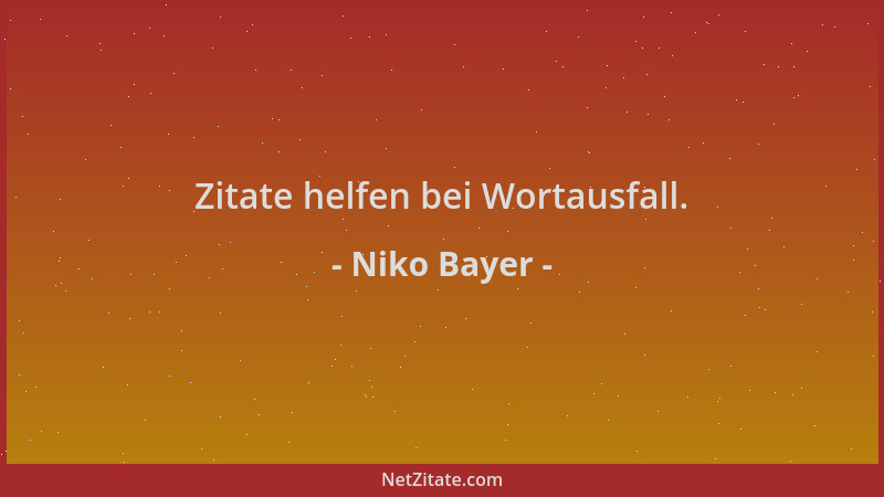 Niko Bayer - Zitate helfen bei Wortausfall....