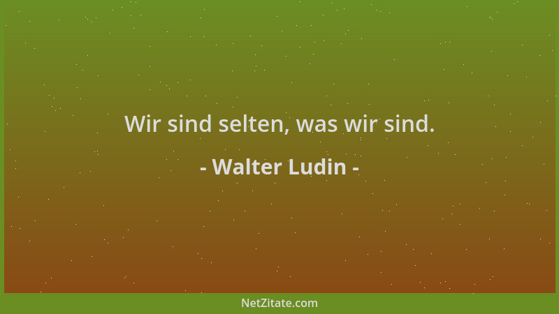 Walter Ludin - Wir sind selten, was wir sind....