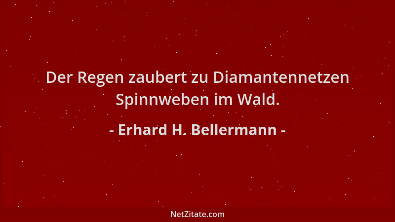 Erhard H. Bellermann - Der Regen zaubert zu Diamantennetzen Spinnweben im Wald....