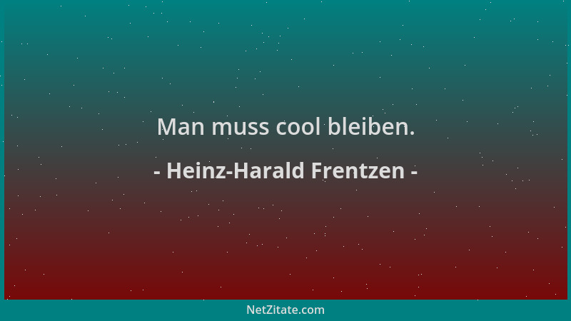 Heinz-Harald Frentzen - Man muss cool bleiben....