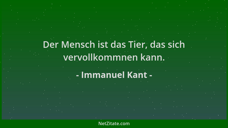 Immanuel Kant - Der Mensch ist das Tier, das sich vervollkommnen kann....
