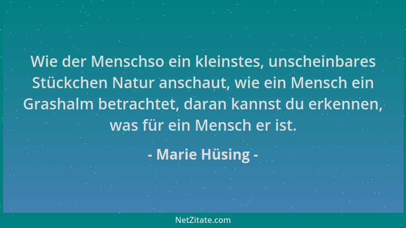 Marie Hüsing - Wie der Menschso ein kleinstes, unscheinbares Stückchen Natur anschaut, wie ein Mensch ein Grashalm betracht...