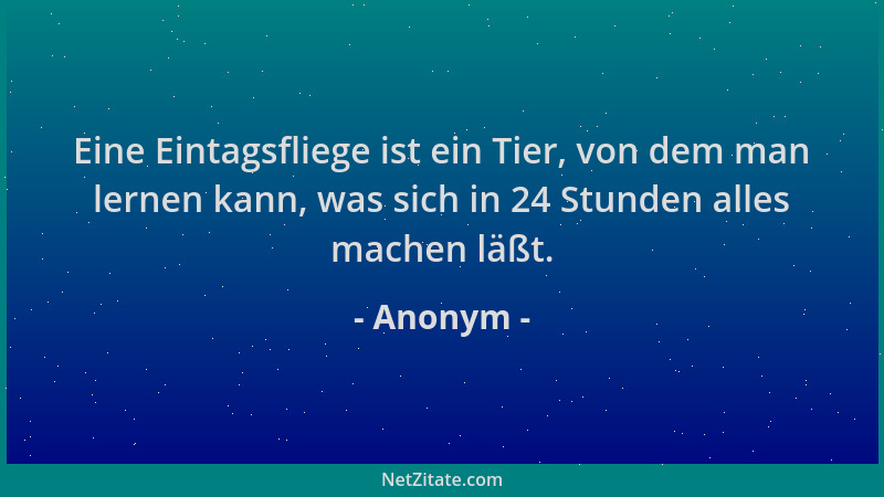 Anonym - Eine Eintagsfliege ist ein Tier, von dem man lernen kann, was sich in 24 Stunden alles machen läßt....