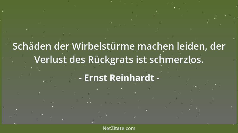 Ernst Reinhardt - Schäden der Wirbelstürme machen leiden, der Verlust des Rückgrats ist schmerzlos....