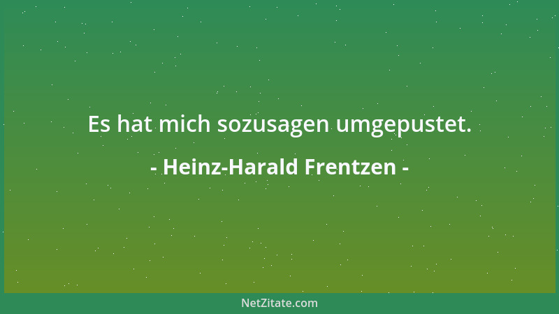 Heinz-Harald Frentzen - Es hat mich sozusagen umgepustet....