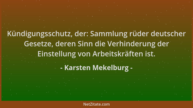 Karsten Mekelburg - Kündigungsschutz, der: Sammlung rüder deutscher Gesetze, deren Sinn die Verhinderung der Einstellung vo...