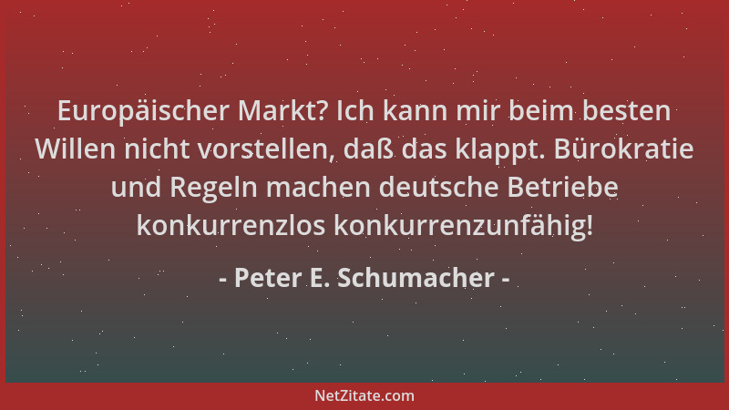 Peter E. Schumacher - Europäischer Markt? Ich kann mir beim besten Willen nicht vorstellen, daß das klappt. Bürokratie und...