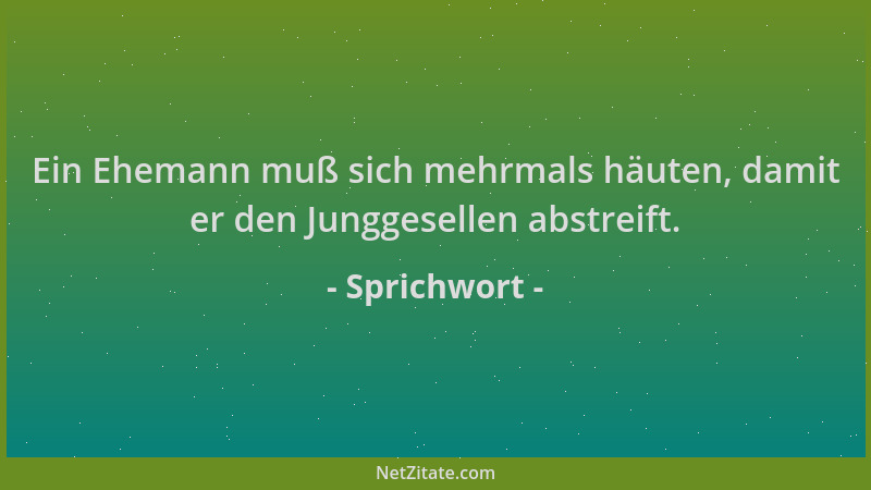 Sprichwort - Ein Ehemann muß sich mehrmals häuten, damit er den Junggesellen abstreift....