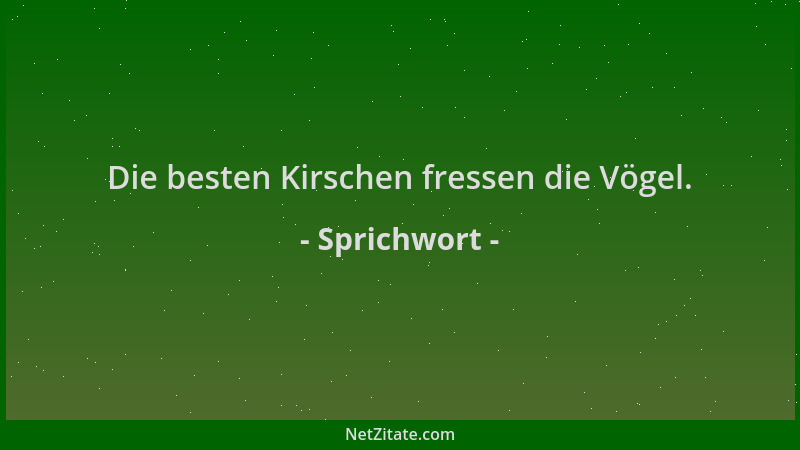 Sprichwort - Die besten Kirschen fressen die Vögel....