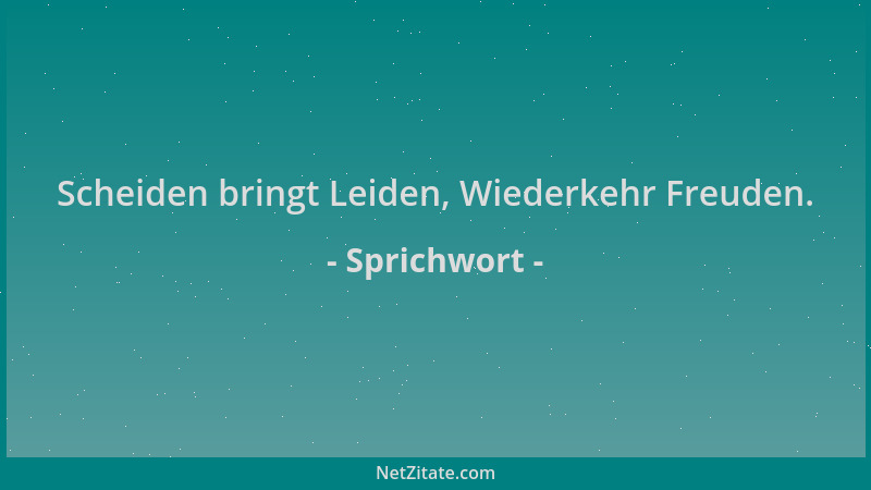 Sprichwort - Scheiden bringt Leiden, Wiederkehr Freuden....