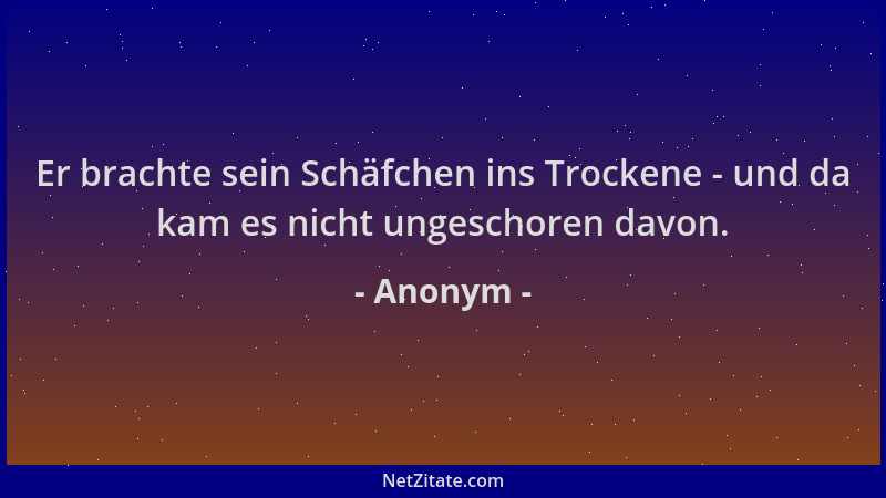 Anonym - Er brachte sein Schäfchen ins Trockene - und da kam es nicht ungeschoren davon....