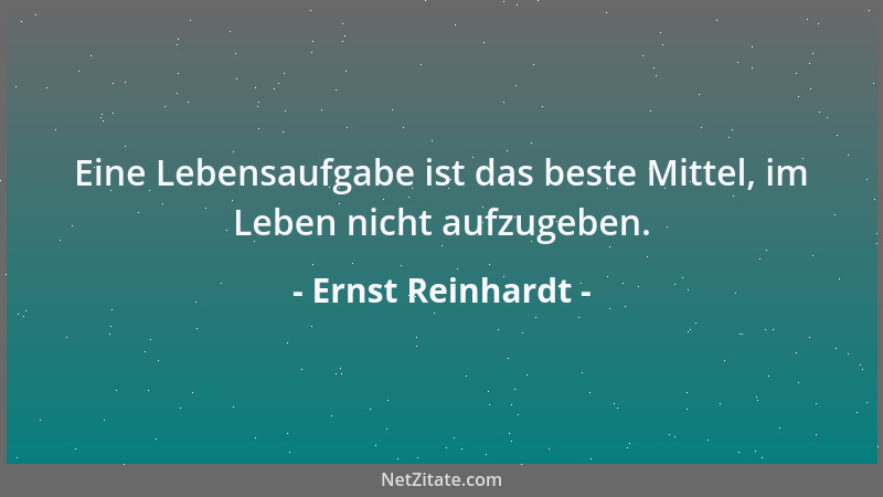 Ernst Reinhardt - Eine Lebensaufgabe ist das beste Mittel, im Leben nicht aufzugeben....