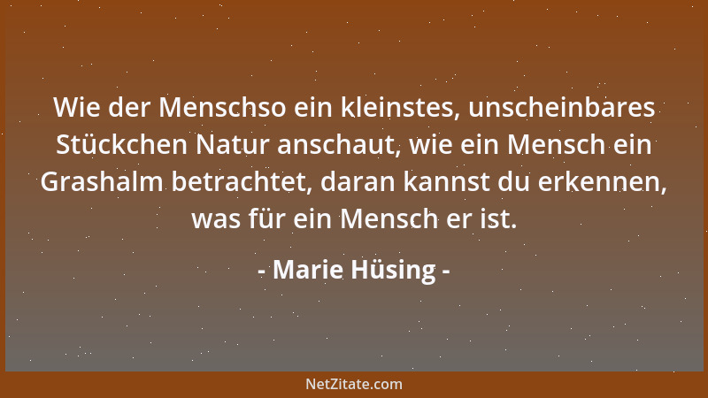 Marie Hüsing - Alle Schönheit dieser Erde ist ein Abglanz nur von des Schöpfers hoher Weisheit, eine lichte Spur ungeahnter...