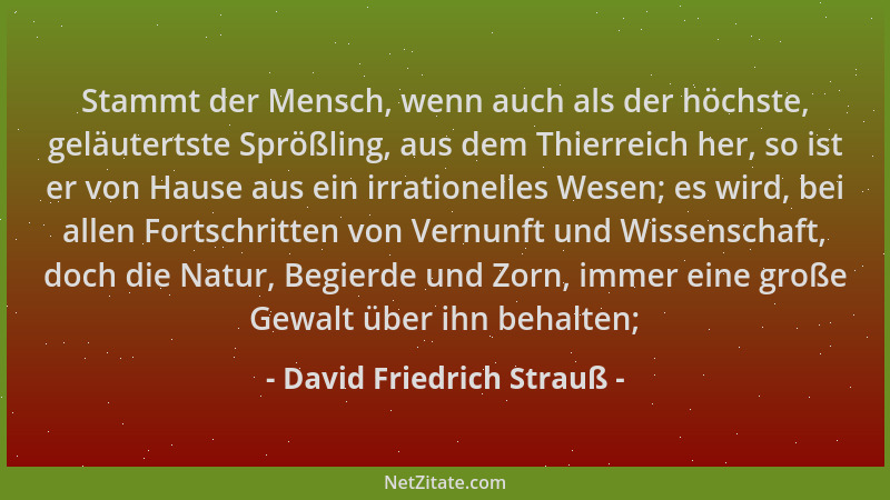 David Friedrich Strauß - Stammt der Mensch, wenn auch als der höchste, geläutertste Sprößling, aus dem Thierreich her, so i...