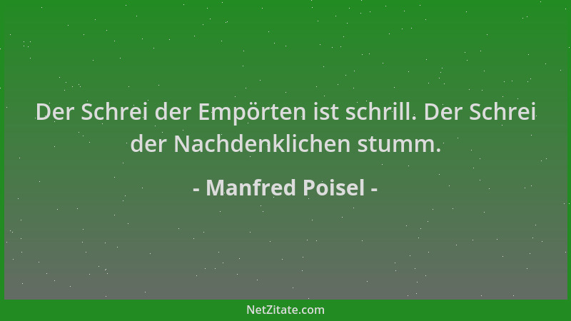 Manfred Poisel - Der Schrei der Empörten ist schrill. Der Schrei der Nachdenklichen stumm....