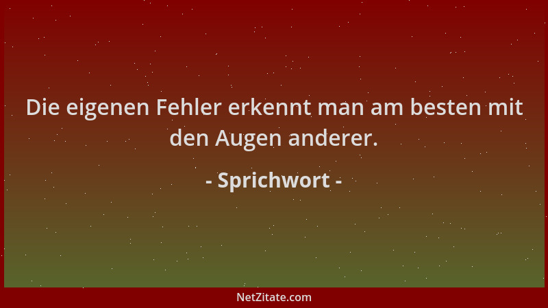 Sprichwort - Die eigenen Fehler erkennt man am besten mit den Augen anderer....