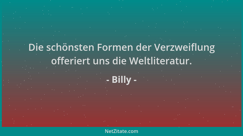 Billy - Die schönsten Formen der Verzweiflung offeriert uns die Weltliteratur....