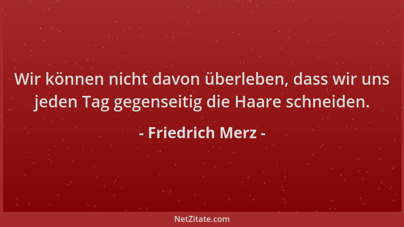 Friedrich Merz - Wir können nicht davon überleben, dass wir uns jeden Tag gegenseitig die Haare schneiden....