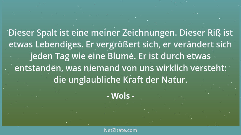 Wols - Dieser Spalt ist eine meiner Zeichnungen. Dieser Riß ist etwas Lebendiges. Er vergrößert sich, er verändert sich jed...