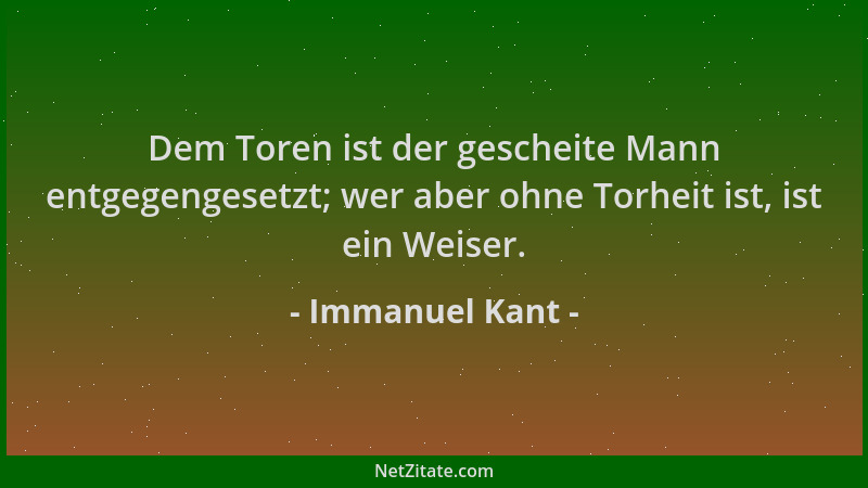 Immanuel Kant - Dem Toren ist der gescheite Mann entgegengesetzt; wer aber ohne Torheit ist, ist ein Weiser....