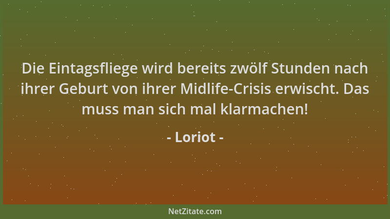Loriot - Die Eintagsfliege wird bereits zwölf Stunden nach ihrer Geburt von ihrer Midlife-Crisis erwischt. Das muss man sic...